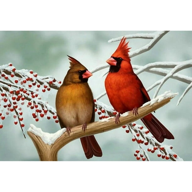 Full Drill Diamond Painting 5D Embroidery Red Birds Cross Stitch Kits Souvenir